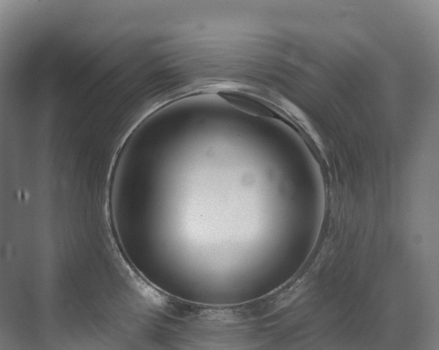 X0000073421194200607281144