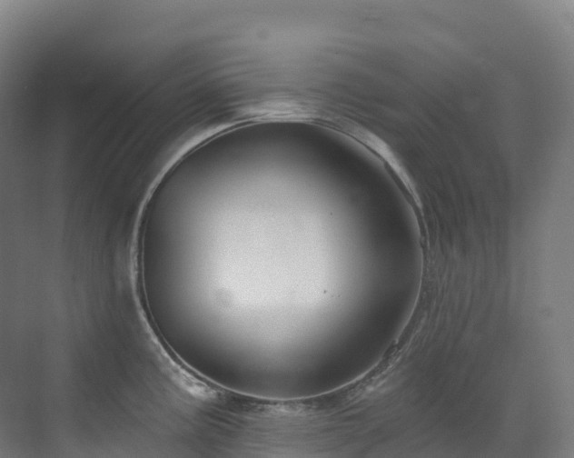 X0000073421195200607281144
