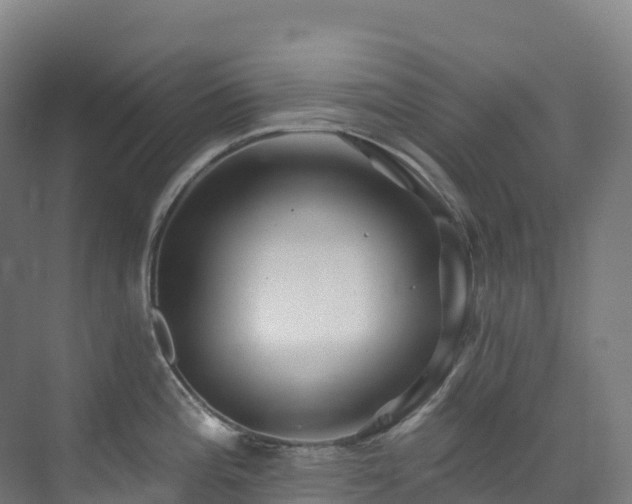 X0000073421196200607281144