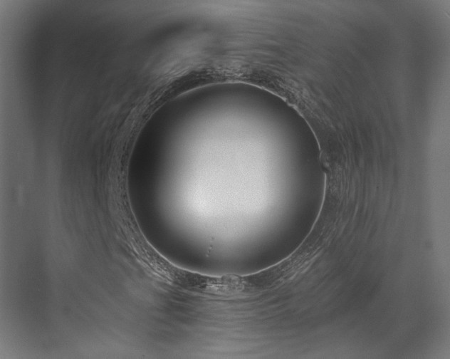 X0000073421201200607281143