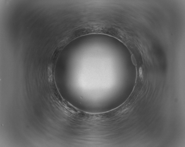 X0000073421203200607281143