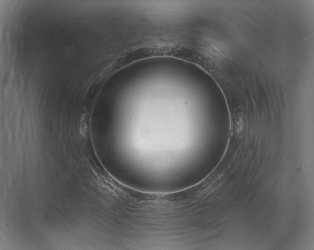 X0000073421204200607281143