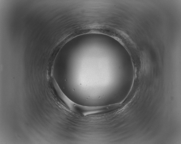 X0000073421209200607281143