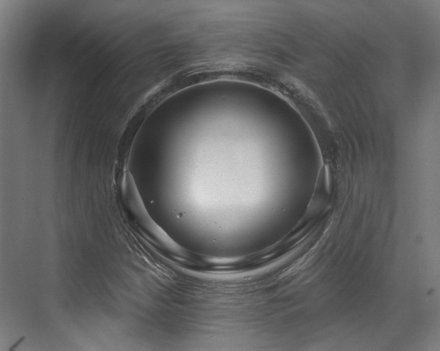 X0000073421210200607281143
