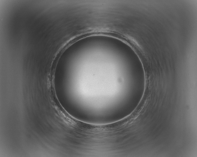 X0000073421212200607281143