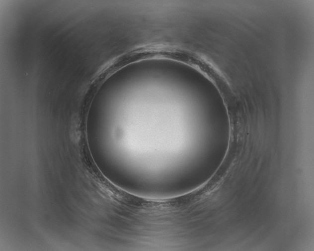 X0000073421213200607281143