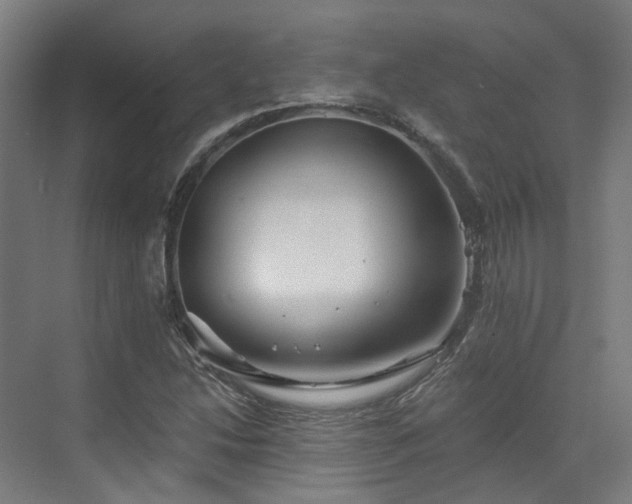 X0000073421214200607281143