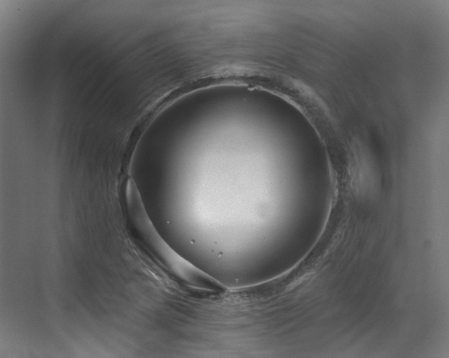 X0000073421217200607281144
