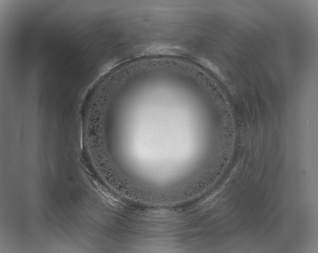X0000073421219200607281144