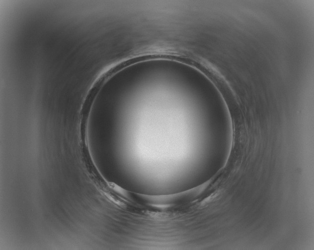 X0000073421222200607281144