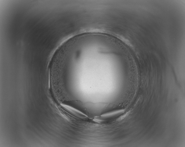 X0000073421223200607281144