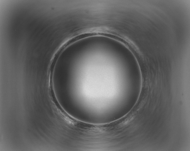 X0000073421224200607281144