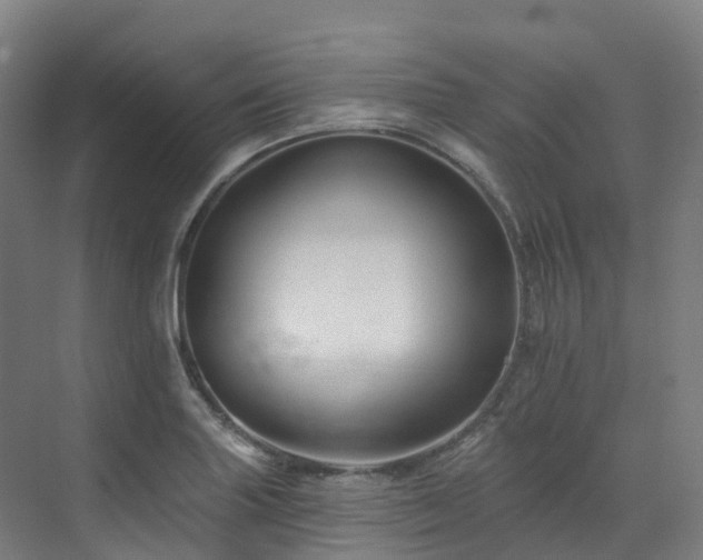X0000073421227200607281144
