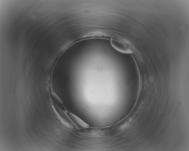 X0000073421233200607281144