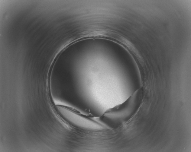 X0000073421234200607281144