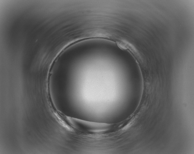 X0000073421236200607281144