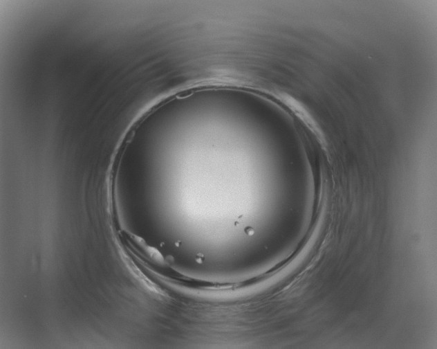 X0000073421238200607281144