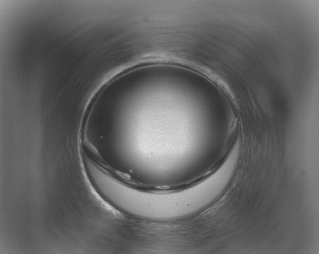 X0000073421239200607281144