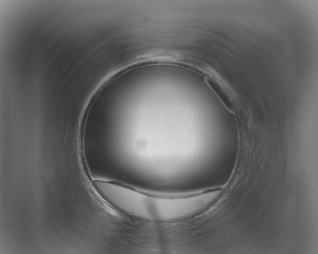 X0000073421240200607281144