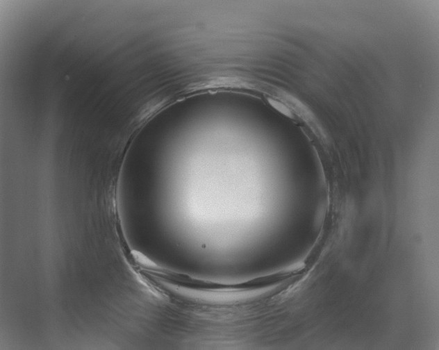 X0000073421241200607281144