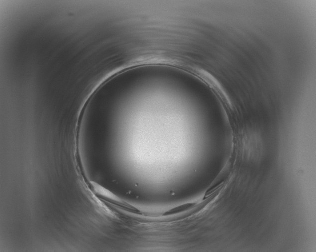 X0000073421244200607281144