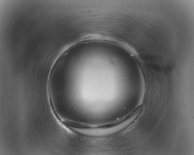 X0000073421247200607281144