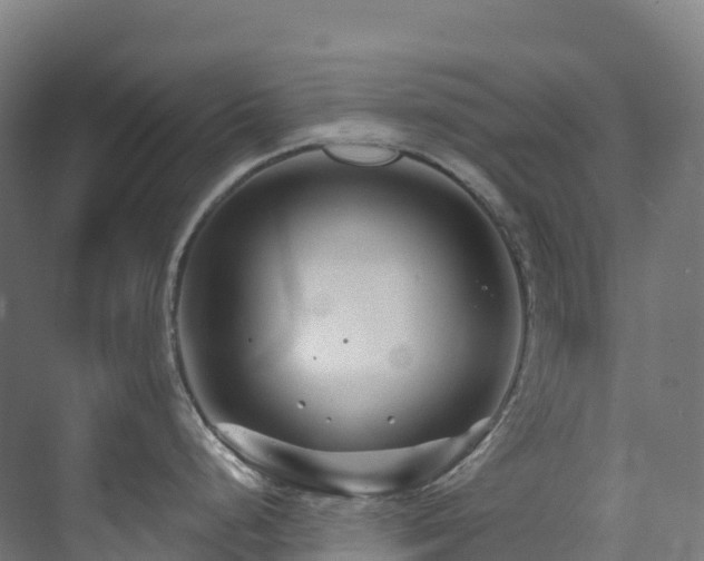 X0000073421248200607281144
