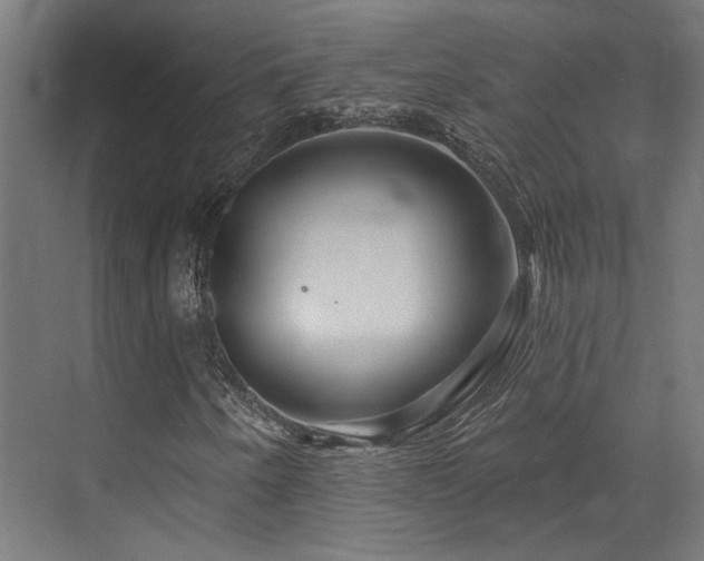X0000073421250200607281143