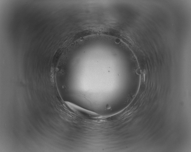 X0000073421251200607281143