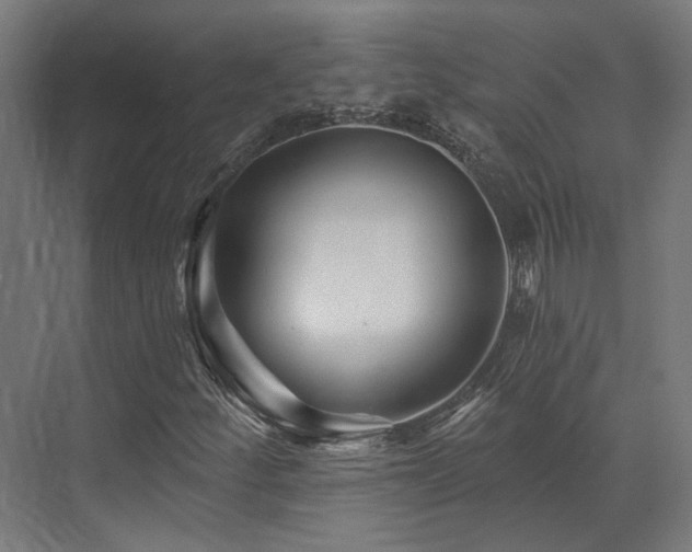 X0000073421252200607281143