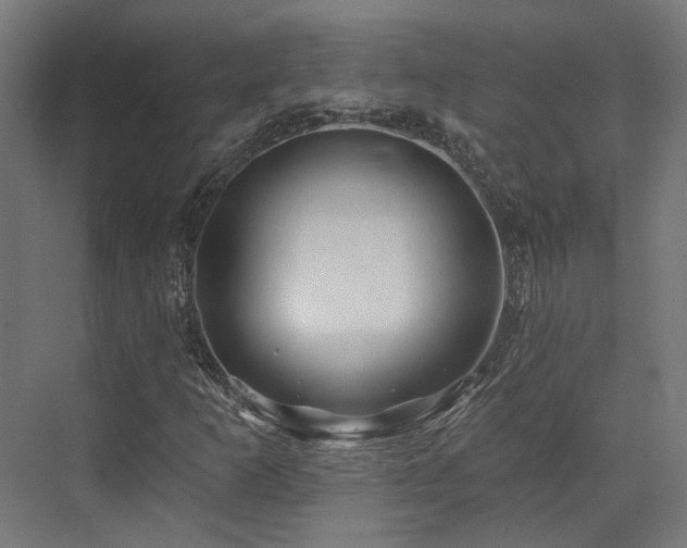 X0000073421253200607281143
