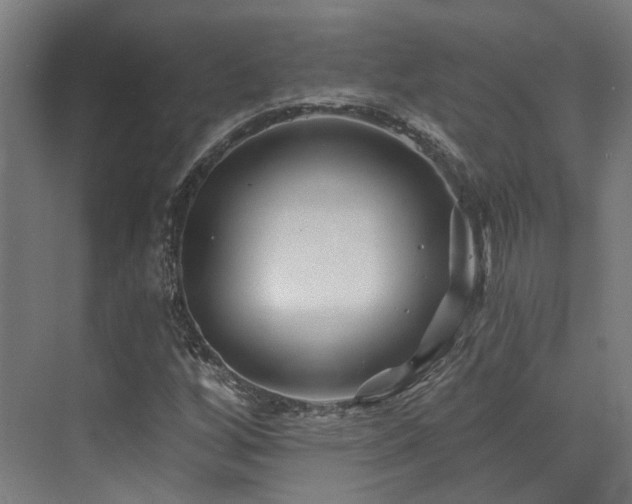 X0000073421256200607281143