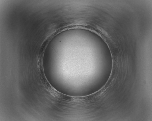 X0000073421258200607281143