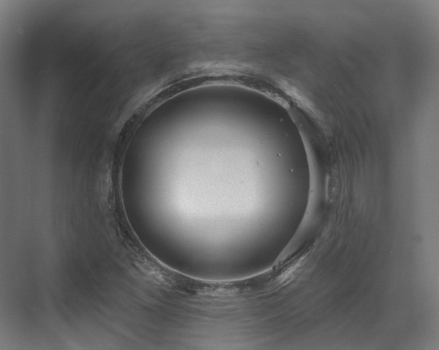 X0000073421261200607281143