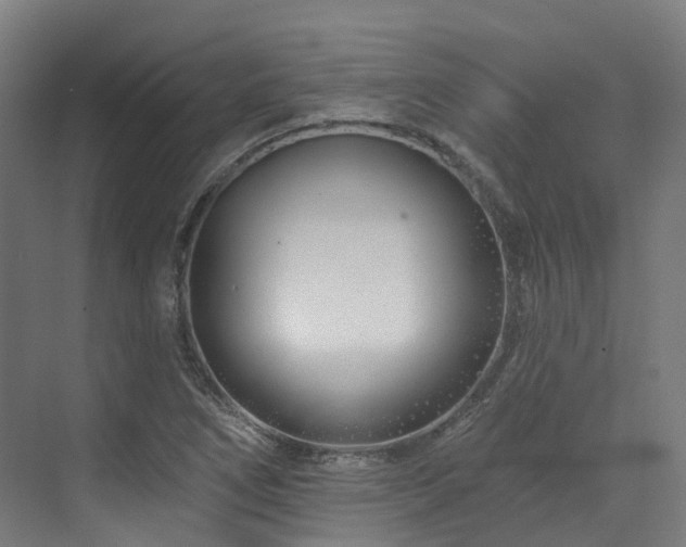 X0000073421266200607281143