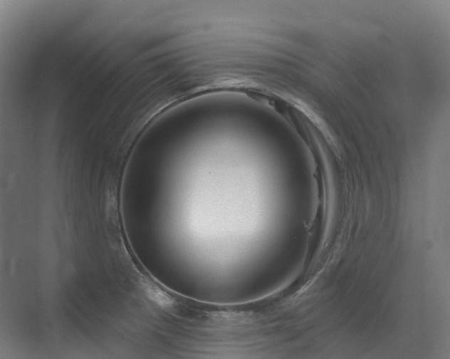 X0000073421281200607281143