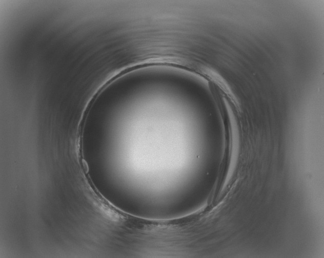 X0000073421284200607281143