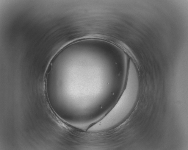 X0000073421292200607281142