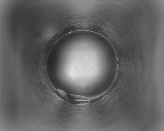 X0000073421297200607281142