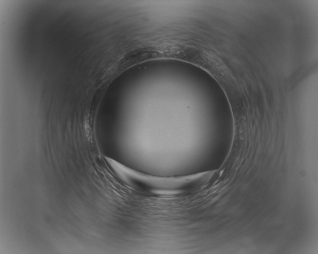 X0000073421298200607281142