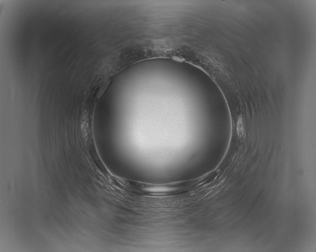 X0000073421299200607281142