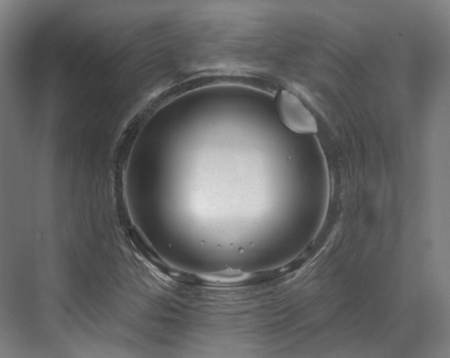 X0000073421307200607281142