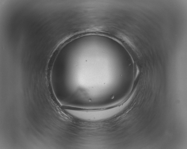 X0000073421308200607281142