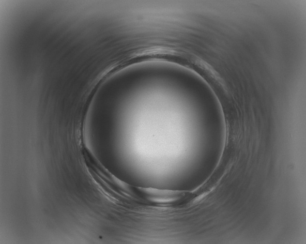 X0000073421321200607281142