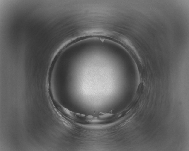 X0000073421328200607281142