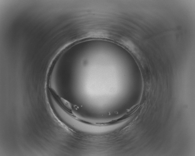 X0000073421331200607281142