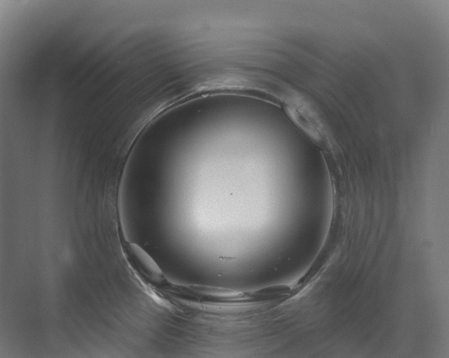 X0000073421337200607281142