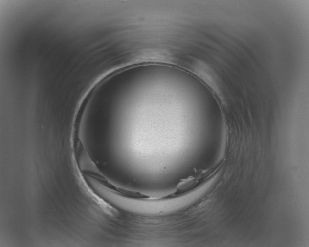 X0000073421339200607281142