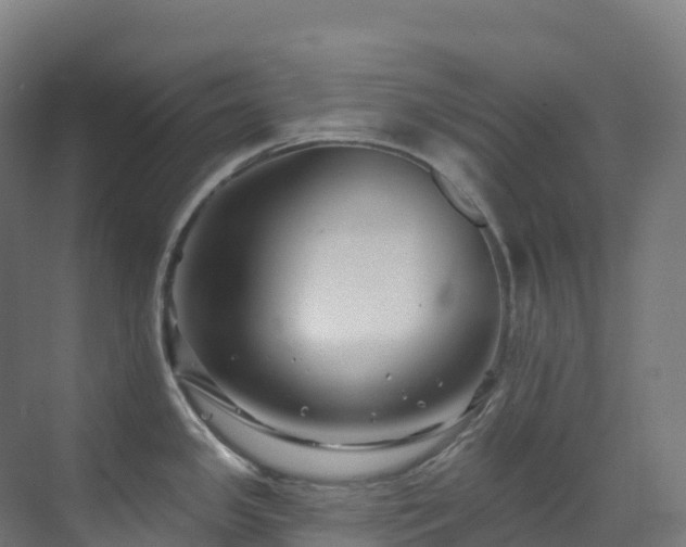 X0000073421341200607281142