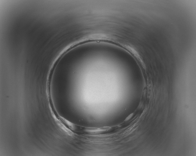 X0000073421342200607281142